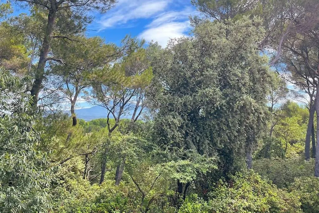 Holiday home Maison En Provence - Les Bastidons Du Ventoux Aubignan